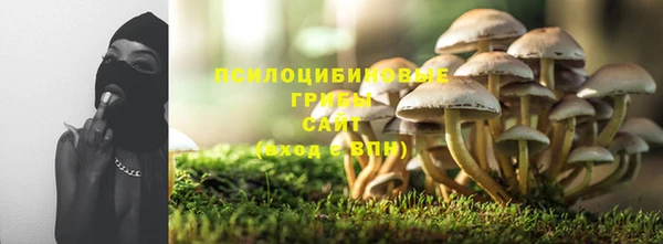 прущая мука Лабытнанги