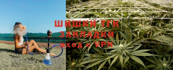 индика Лагань