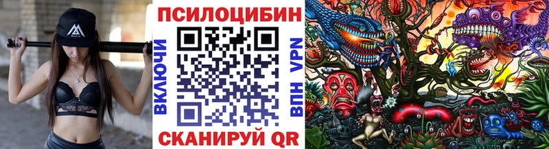 KRAKEN tor  Северская  Галлюциногенные грибы Cubensis 
